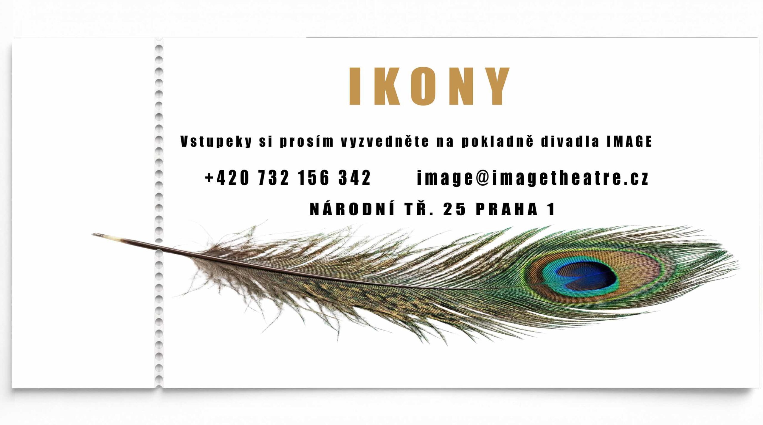 IKONY Kniha